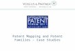 Patent Mapping and Patent Families – Case Studies