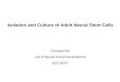 Isolation and Culture of Adult  N eural  S tem  C ells