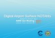 Digital Airport Surface NOTAMs