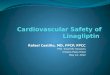Cardiovascular Safety of  Linagliptin