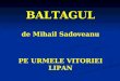 BALTAGUL de Mihail Sadoveanu PE URMELE VITORIEI LIPAN