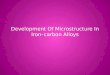 Development Of Microstructure In Iron–carbon Alloys