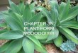 CHAPTER 35  PLANT FORM WOOOOO!!!!!!!