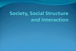 Society, Social Structure and Interaction