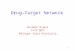 Drug–Target  N etwork