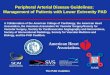Peripheral Arterial Disease Guidelines:  Management of Patients with Lower Extremity PAD