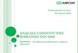 ANALIZA CONSTITUTIEI ROMANIEI DIN 2003 SINTEZA – Versiunea preliminara, supusa discutiei