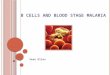 B Cells and blood stage malaria