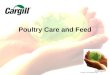 Poultry Care and Feed
