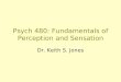 Psych 480: Fundamentals of Perception and Sensation