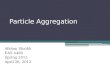 Particle Aggregation