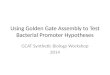 Using Golden Gate Assembly to Test Bacterial Promoter Hypotheses