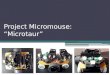 Project  Micromouse : “ Microtaur ”