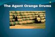 The Agent Orange Drums