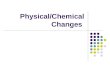 Physical/Chemical Changes