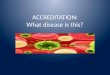 ACCREDITATION: What disease is this?