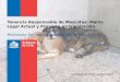 Tenencia Responsable de Mascotas: Marco Legal Actual y Proyecto en tramitación