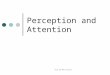 Perception and Attention