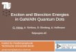 Exciton and Biexciton Energies  in  GaN / AlN  Quantum  Dots