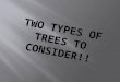 Two types of Trees to Consider!!