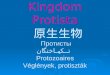 Kingdom Protista  原生生物  Протисты  تکیاختگان  Protozoaires Véglények ,  protiszták