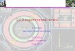 QCD experimental review