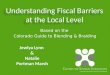 Understanding Fiscal Barriers at the Local Level
