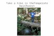 Take a hike in  theTemperate  Rainforest