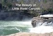 The Beauty of  Little River Canyon