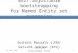 Self-adjustable bootstrapping for Named Entity set expansion