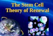 The Stem Cell  Theory of Renewal