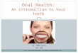 Oral Health: An Introduction to Your Teeth