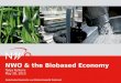 NWO & the  Biobased Economy Tanja Kulkens May 28, 2013