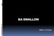 Ba  Swallow