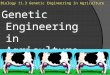 Biology 11.3 Genetic Engineering in Agriculture