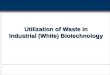 Utilization of Waste in Industrial (White) Biotechnology
