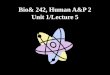 Bio& 242, Human A&P 2 Unit 1/Lecture 5