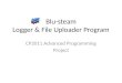 Blu -steam Logger & File  Uploader  Program