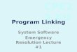 Program Linking