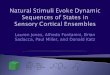 Natural Stimuli Evoke Dynamic Sequences of States in Sensory Cortical Ensembles