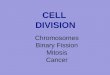 Chromosomes Binary Fission Mitosis Cancer