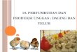 10.  Pertumbuhan dan Produksi Unggas  :  Daging dan Telur