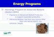 Energy Programs
