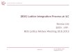 (BDS) Lattice Integration Process at ILC Benno List DESY –IPP–