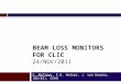 Beam LOSS Monitors for CLIC  24/NOV/2011