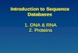 Introduction to  Sequence Databases 1. DNA & RNA  2. Proteins
