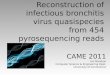 Reconstruction of infectious bronchitis virus  quasispecies  from 454  pyrosequencing  reads