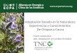 Adaptación Basado en la Naturaleza: Experiencias y Conocimientos  De Chiapas y Cauca