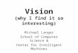 Vision (why  I find it so interesting)