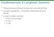 Cardiovascular & Lymphatic Systems